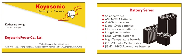 Opzs 12V 100ah Gel Battery Tubular Battery